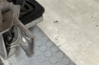 Porte avant droit RENAULT CLIO 3