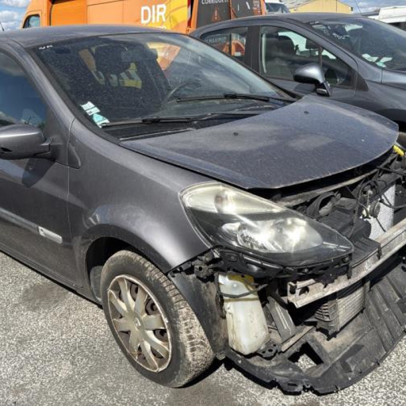 Porte avant droit RENAULT CLIO 3 Photo n°10