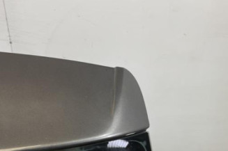 Malle/Hayon arriere VOLKSWAGEN POLO