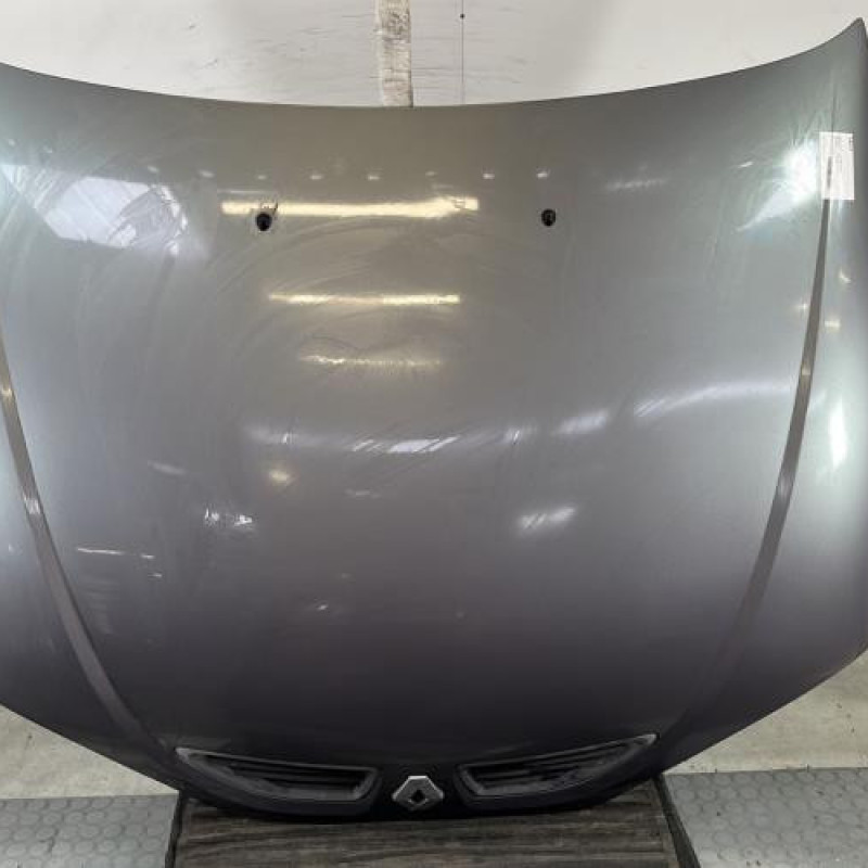 Capot RENAULT MEGANE 1 Photo n°1