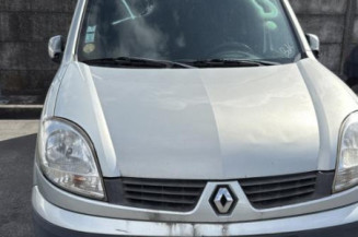Aile avant gauche RENAULT KANGOO 1