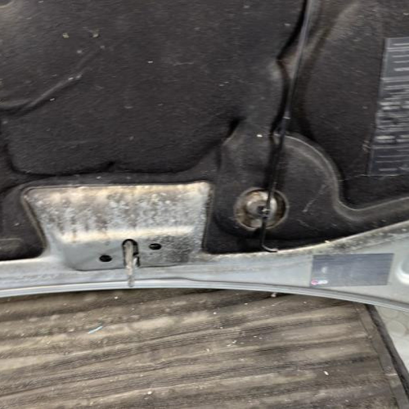 Capot RENAULT KANGOO 1 Photo n°13