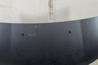 Capot CITROEN C3 PICASSO Photo n°1