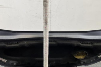 Capot CITROEN C3 PICASSO