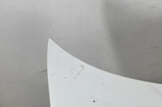 Capot CITROEN BERLINGO 1