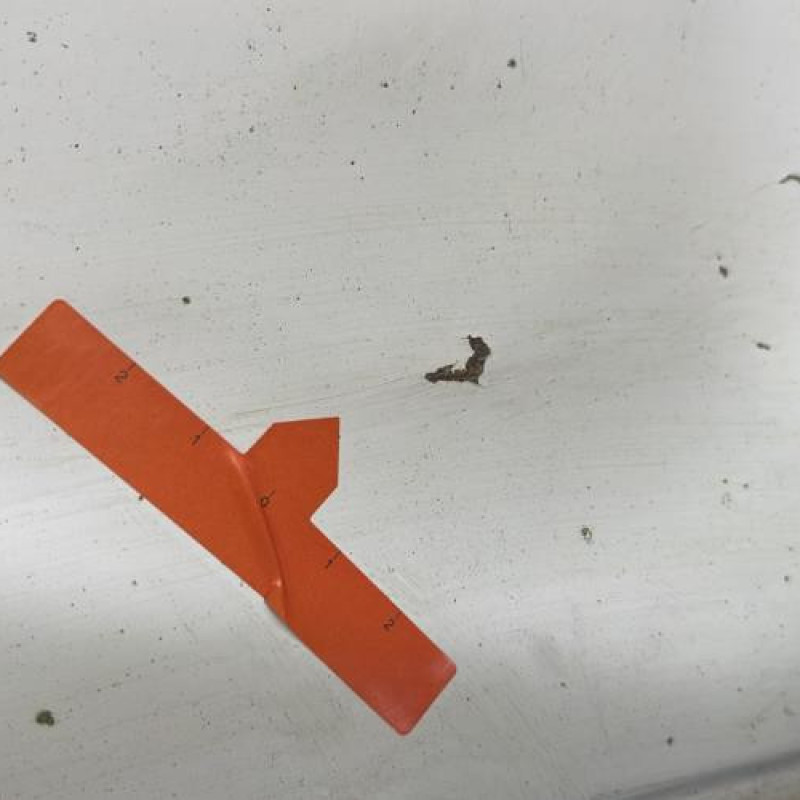 Aile avant gauche OPEL MOVANO A Photo n°2