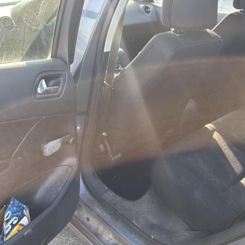 Custode avant droit (porte) PEUGEOT 308 1 Photo n°15