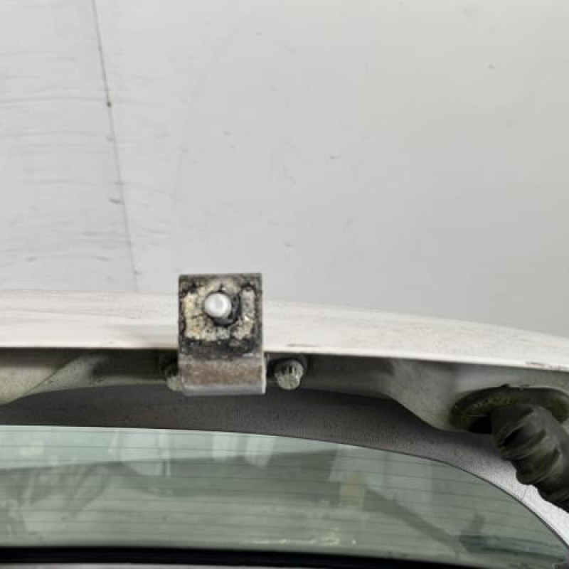 Malle/Hayon arriere VOLKSWAGEN GOLF 4 Photo n°9