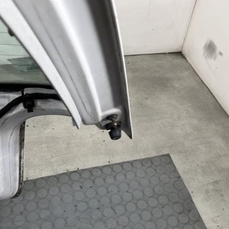 Malle/Hayon arriere VOLKSWAGEN GOLF 4 Photo n°10