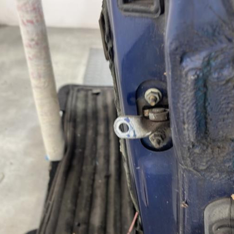 Porte avant gauche RENAULT CLIO 2 Photo n°6