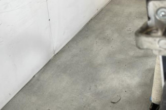 Porte de coffre droit RENAULT TRAFIC 2