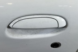Porte avant gauche RENAULT CLIO 2 CAMPUS