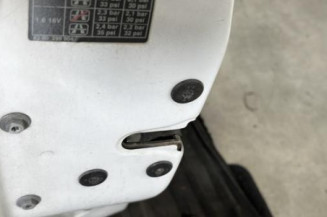Porte avant gauche RENAULT CLIO 2 CAMPUS