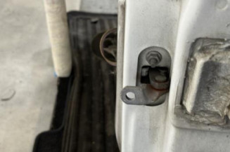 Porte avant gauche RENAULT CLIO 2 CAMPUS