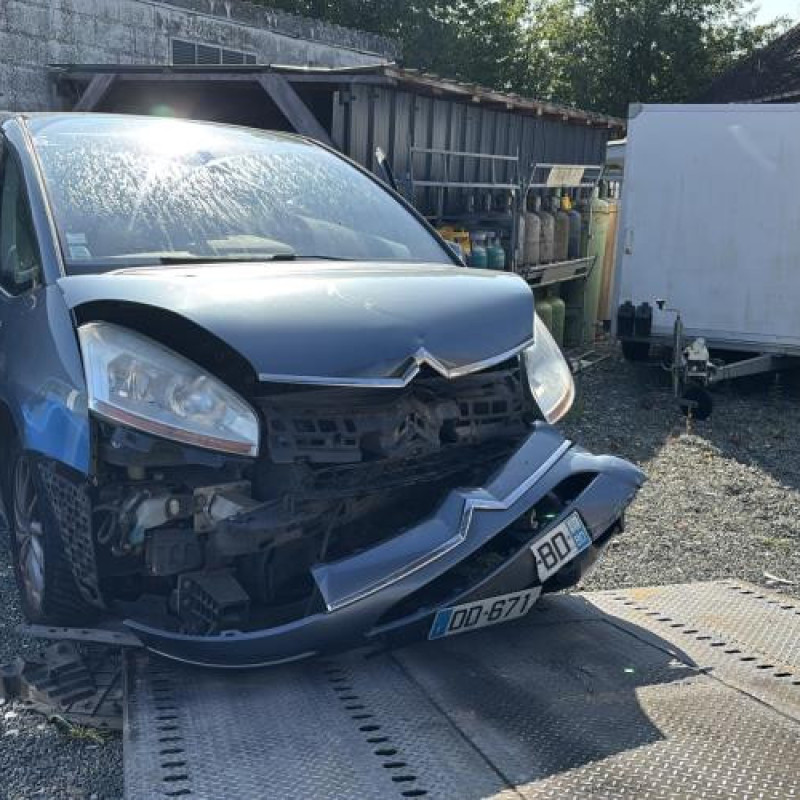 Porte avant gauche CITROEN C4 PICASSO 1 Photo n°5