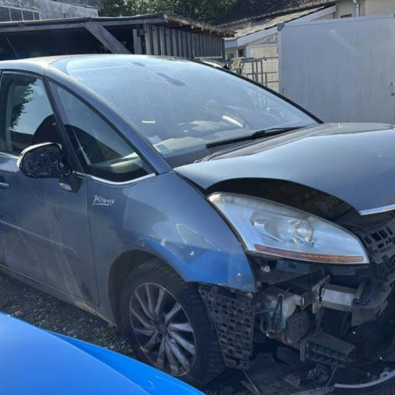 Porte avant gauche CITROEN C4 PICASSO 1 Photo n°6