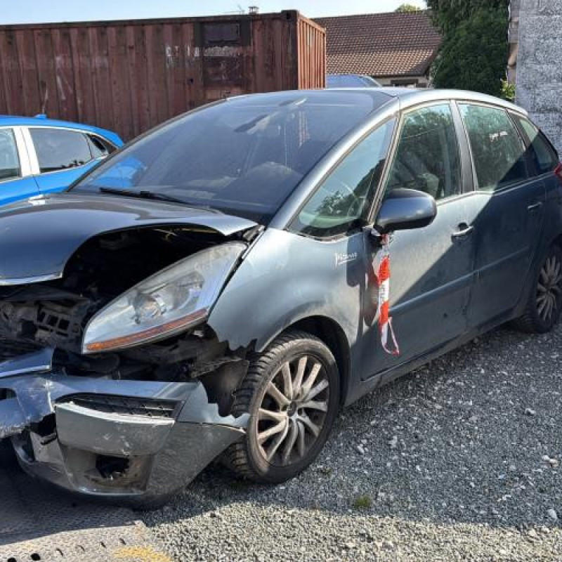 Porte avant gauche CITROEN C4 PICASSO 1 Photo n°7