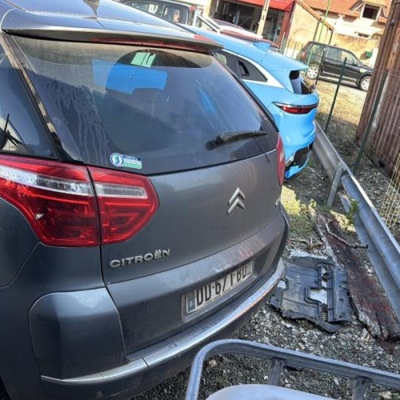 Porte avant gauche CITROEN C4 PICASSO 1 Photo n°8