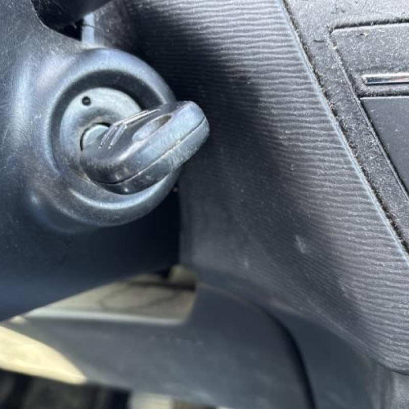 Porte avant gauche CITROEN C4 PICASSO 1 Photo n°13