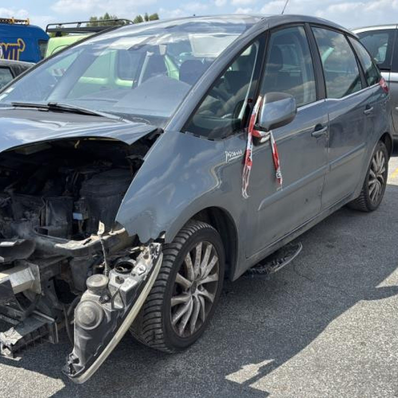 Porte avant gauche CITROEN C4 PICASSO 1 Photo n°16