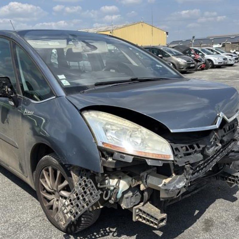 Porte avant gauche CITROEN C4 PICASSO 1 Photo n°17