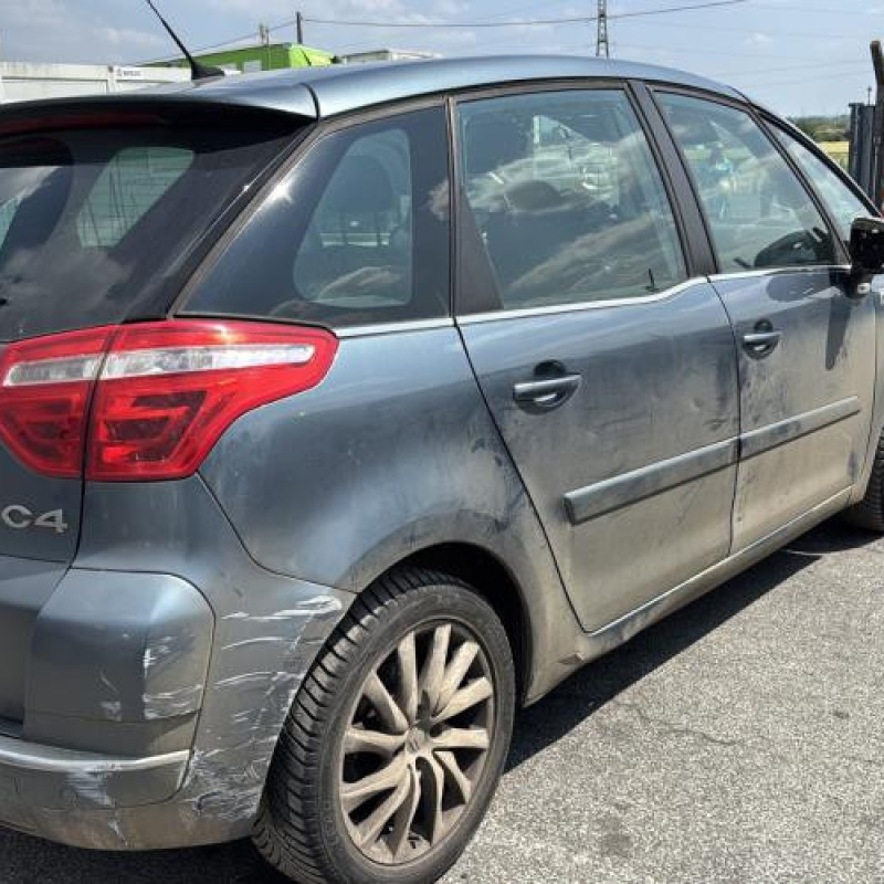 Porte avant gauche CITROEN C4 PICASSO 1 Photo n°18