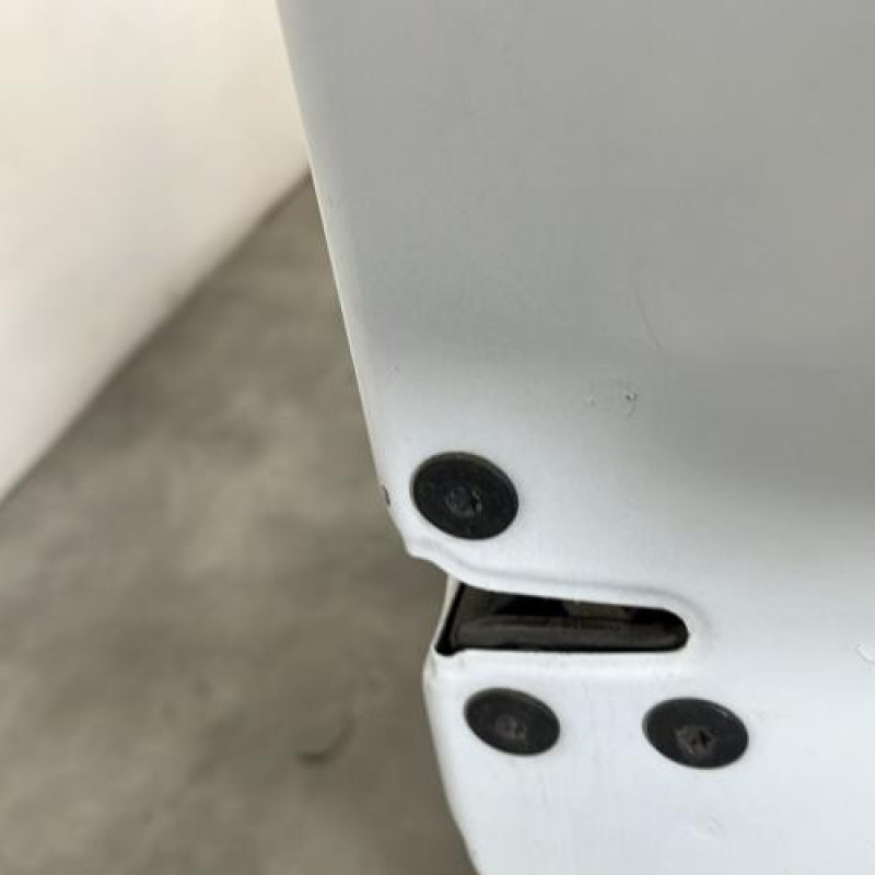 Porte avant droit RENAULT KANGOO 2 Photo n°3