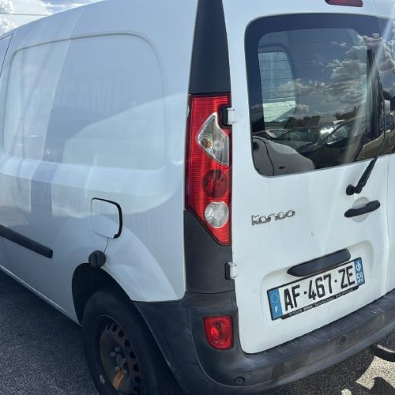 Porte avant droit RENAULT KANGOO 2 Photo n°11