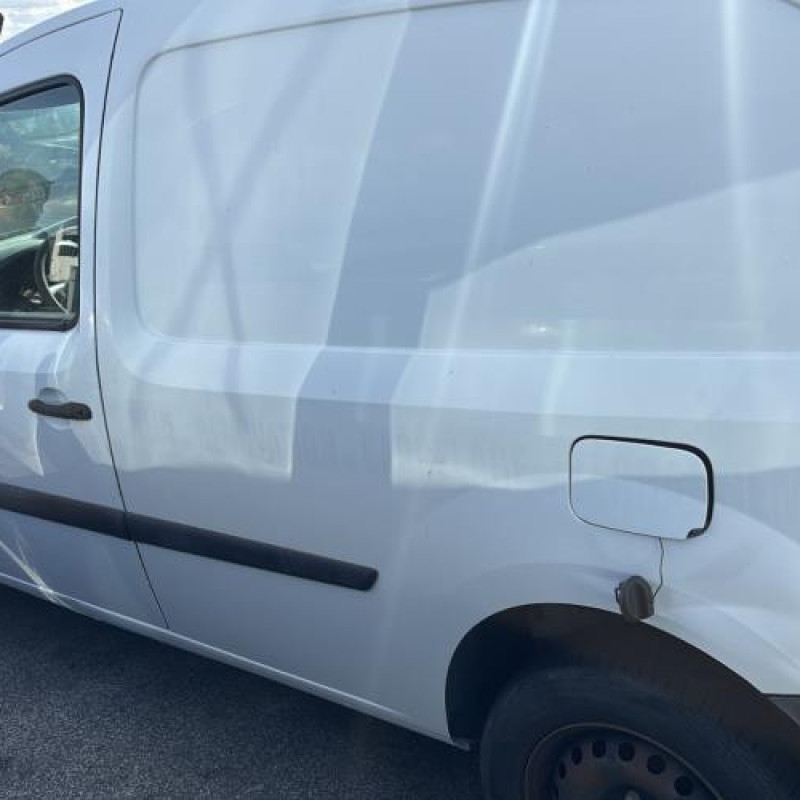 Porte avant droit RENAULT KANGOO 2 Photo n°14