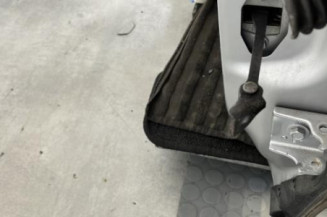 Porte avant gauche CITROEN C3 2