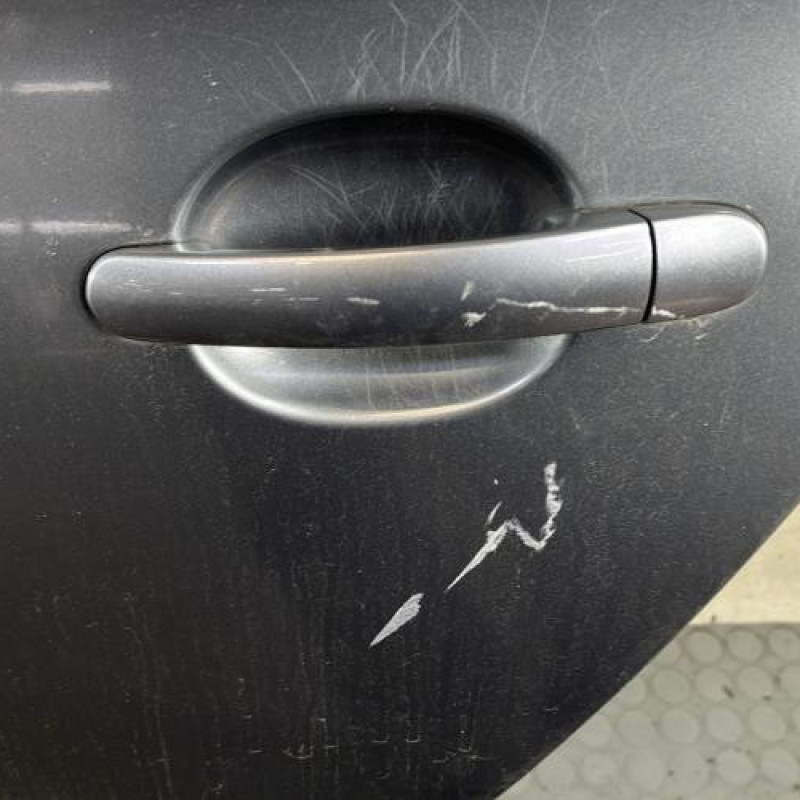 Porte arriere gauche SEAT TOLEDO 4 Photo n°2
