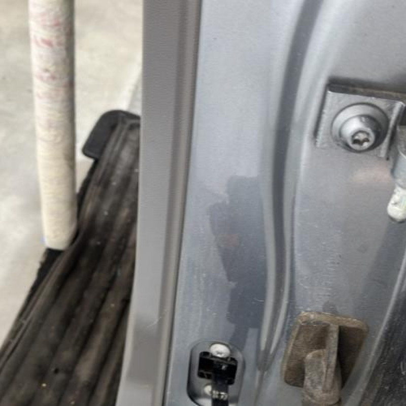 Porte arriere gauche SEAT TOLEDO 4 Photo n°5