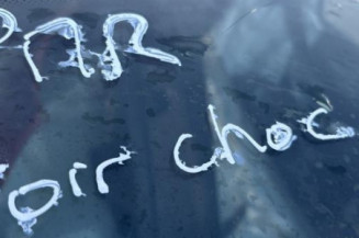 Vitre arriere droit RENAULT CLIO 4
