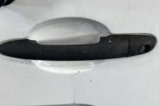 Porte de coffre gauche RENAULT KANGOO 2