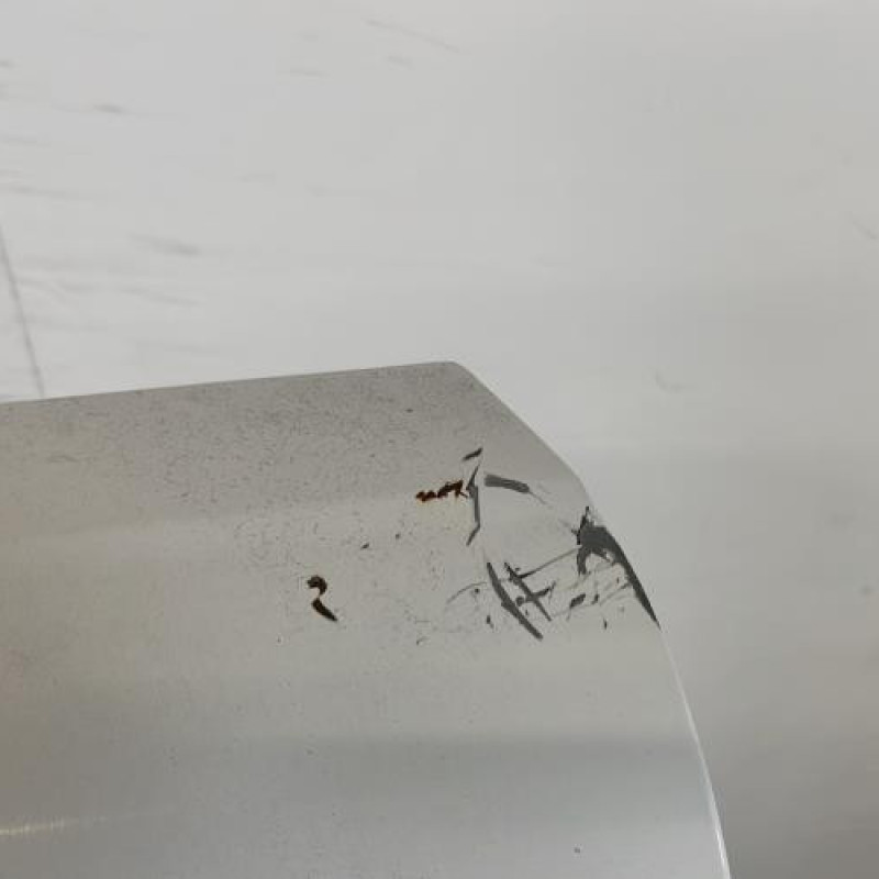 Porte de coffre gauche RENAULT KANGOO 2 Photo n°3