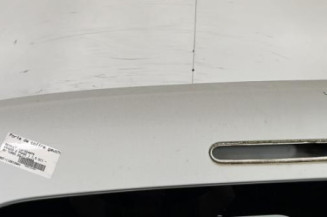 Porte de coffre gauche RENAULT KANGOO 2