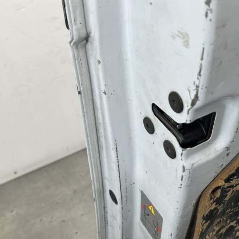 Porte de coffre gauche RENAULT KANGOO 2 Photo n°6