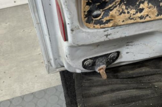 Porte de coffre gauche RENAULT KANGOO 2