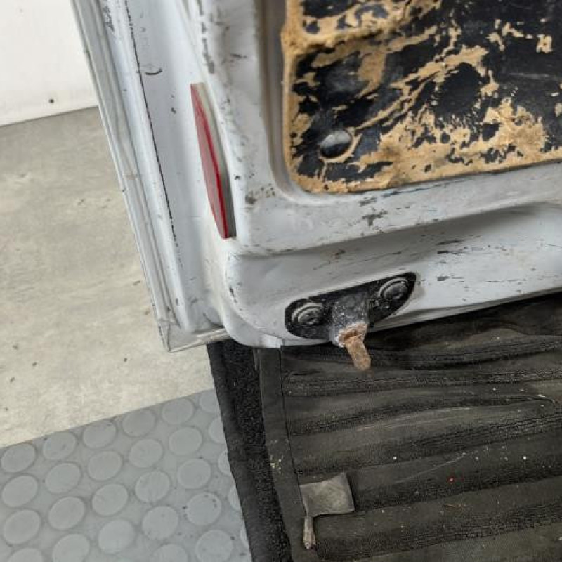 Porte de coffre gauche RENAULT KANGOO 2 Photo n°7