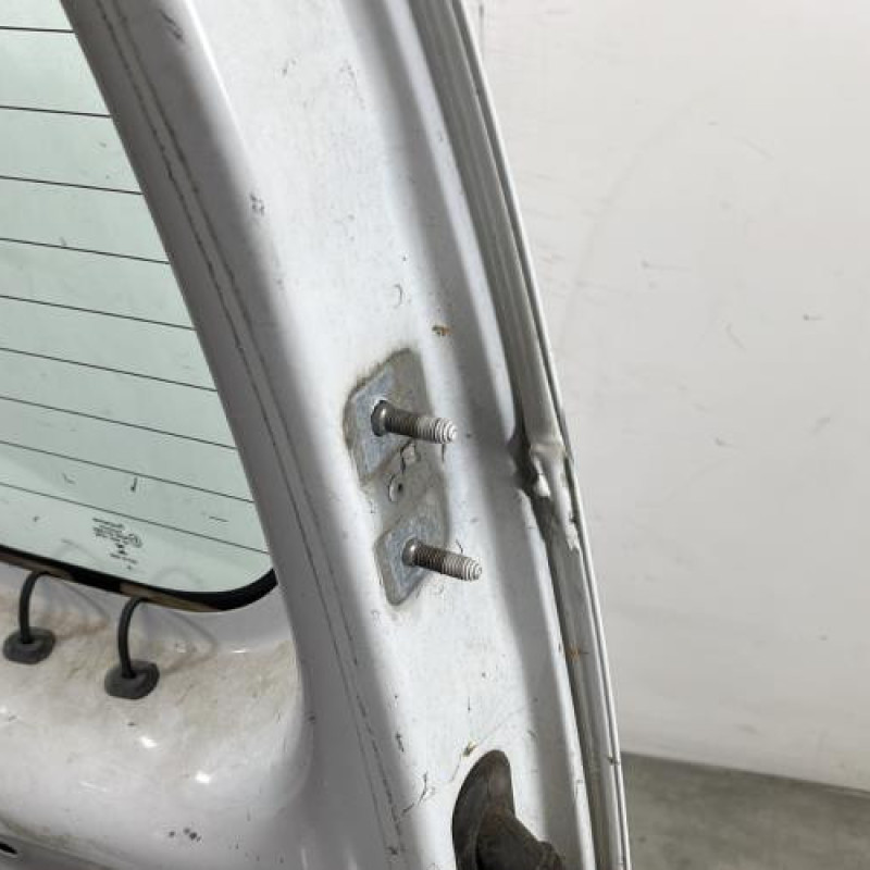 Porte de coffre gauche RENAULT KANGOO 2 Photo n°8