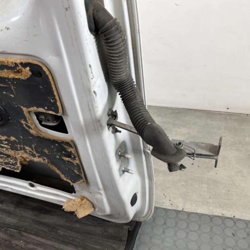 Porte de coffre gauche RENAULT KANGOO 2 Photo n°9