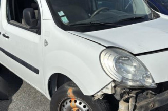Porte de coffre gauche RENAULT KANGOO 2
