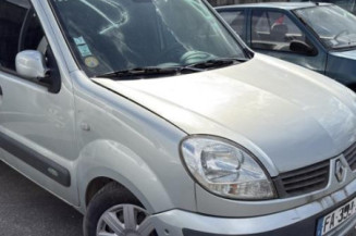 Vitre avant gauche RENAULT KANGOO 1