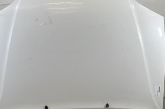 Capot CITROEN SAXO Photo n°1