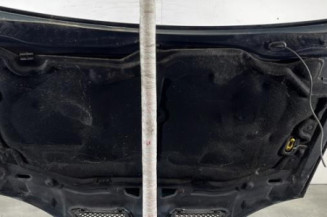 Capot RENAULT MEGANE 1