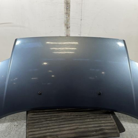 Capot CITROEN C2 Photo n°1