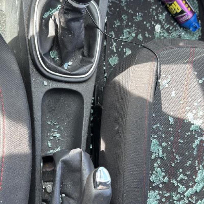 Porte arriere droit OPEL CORSA D Photo n°16