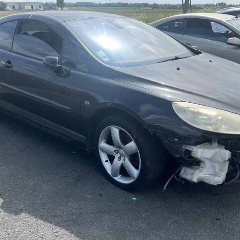 Baguette de porte avant gauche PEUGEOT 407 Photo n°5