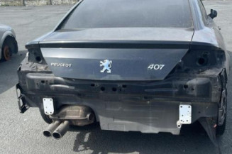 Baguette de porte avant gauche PEUGEOT 407