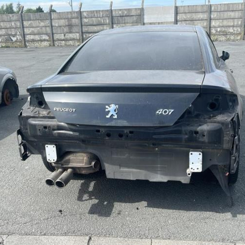 Baguette de porte avant gauche PEUGEOT 407 Photo n°8